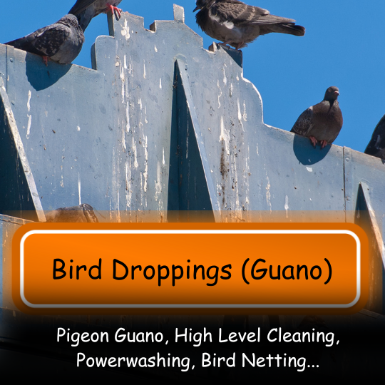 Bird Dropping Guano Cleaning