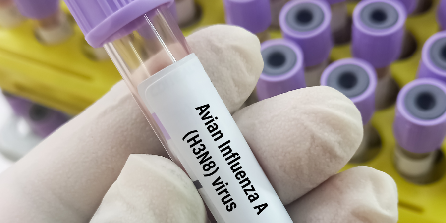 Bird Flu Disinfection