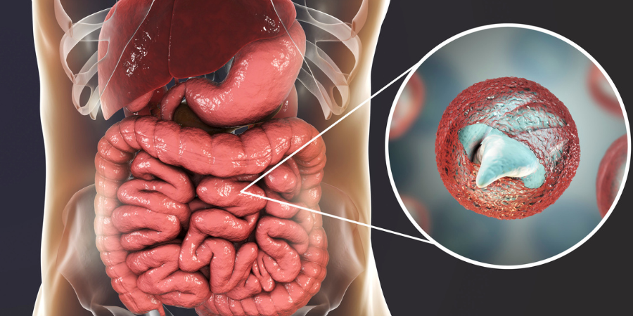 Cryptosporidium Disinfection