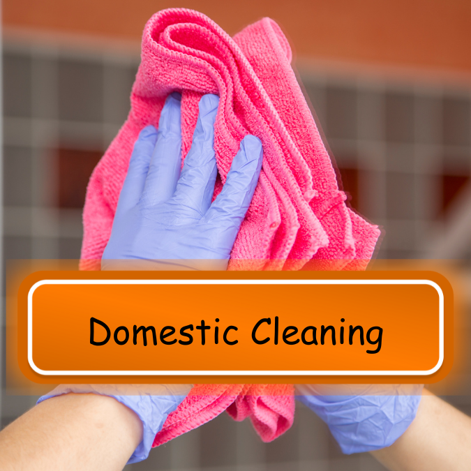 Domestic Cleaning