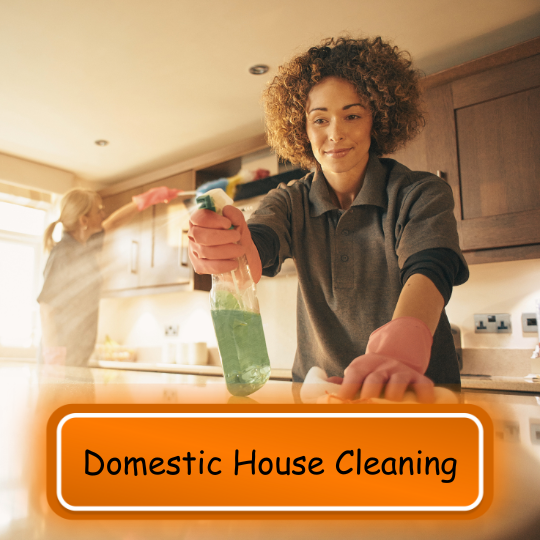 Domestic House Cleaning