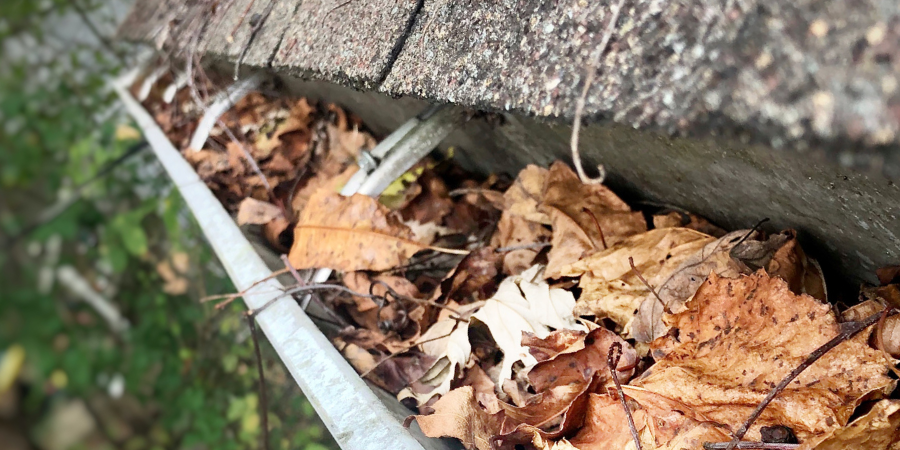 Gutter Clearance