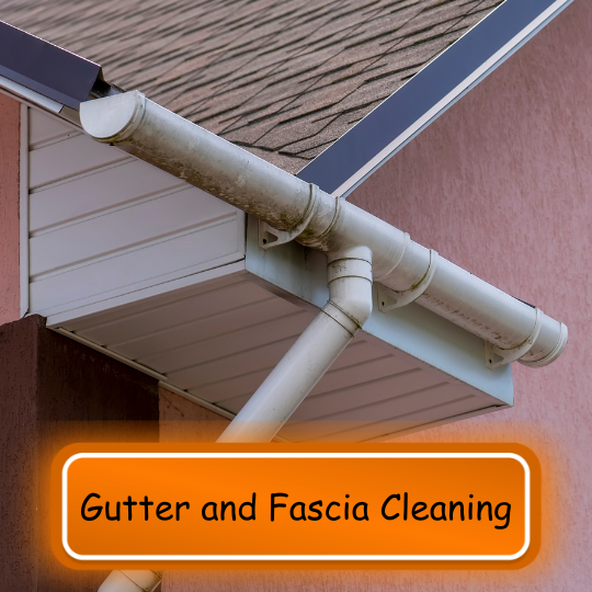 Gutter and fascia cleaning