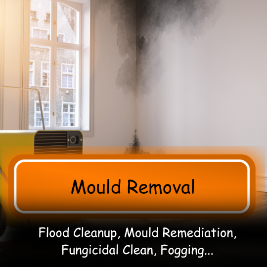 Mould Removal