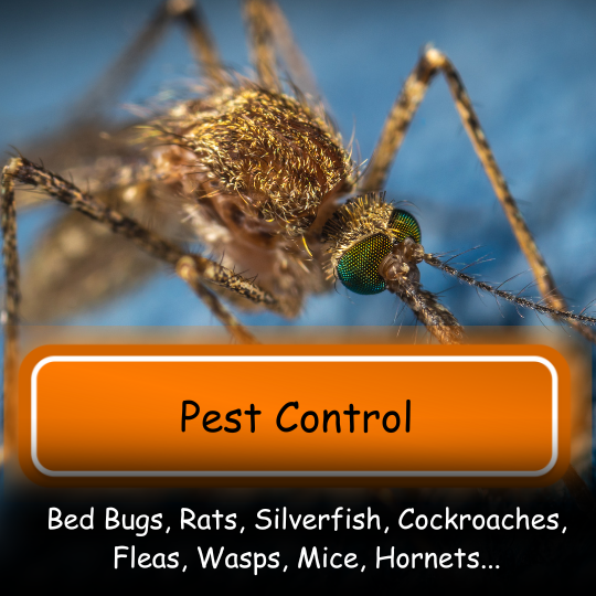 Pest Control