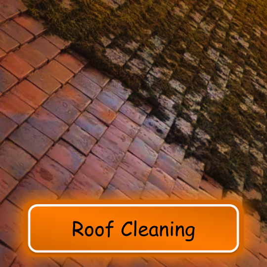 Roof Cleaning