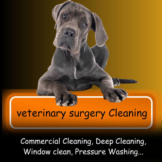 veterinary surgery